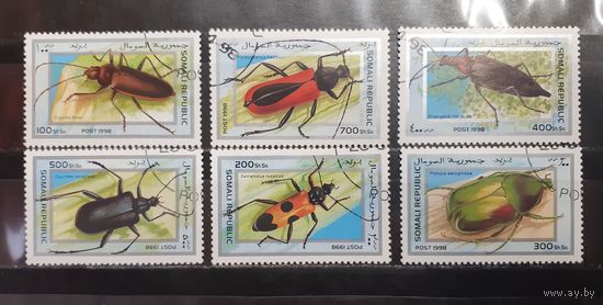 Сомали. 1998 год. Фауна. Жуки (1279)