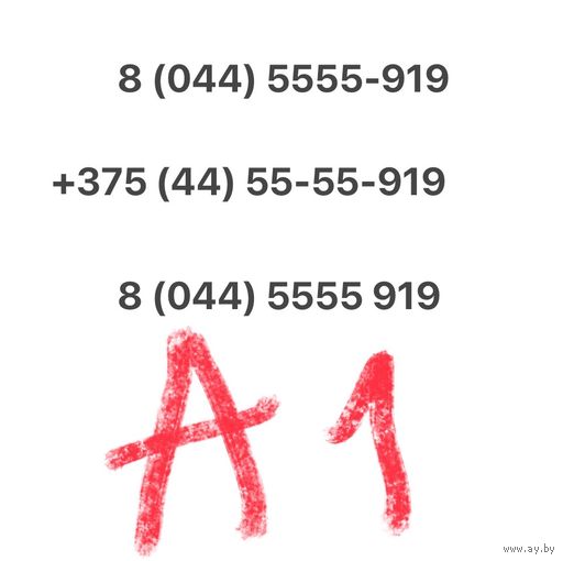 Красивый и простой номер А1 5555.919