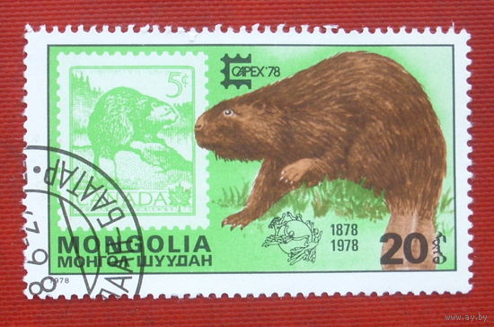 Монголия. Филателистическая выставка. ( 1 марка ) 1978 года. 10-18.