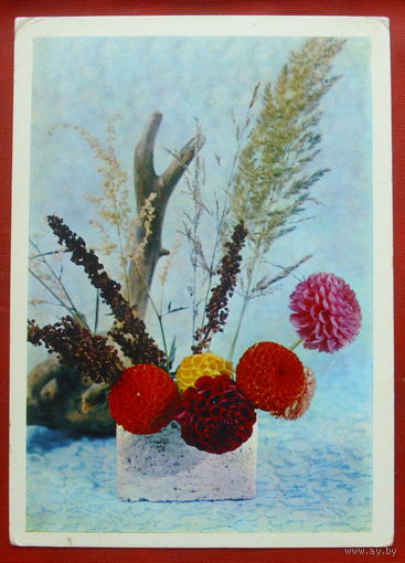 Композиция из цветов. Чистая. 1975 года. *320.