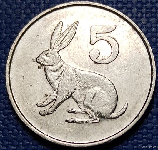 Зимбабве 5 центов 1990 г.