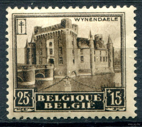 Бельгия - 1930г. - архитектура, борьба с туберкулёзом, 25 + 15 с - 1 марка - MH [Mi 292]. #2-Be-40-B-2