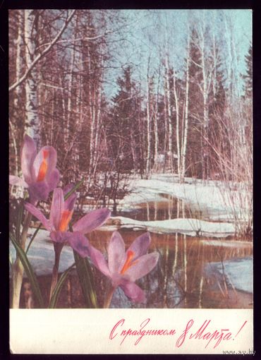 1971 год Г.Костенко С праздником 8 марта!