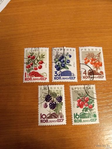 1964 СССР Загорский 3048-3052 флора ягоды чистая полная серия клей MNH** (с-5)