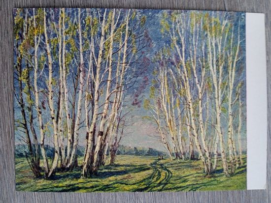 1957. Оболенский. Березки. Май