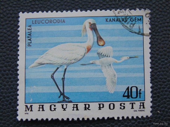 Венгрия 1976 г. Птицы.