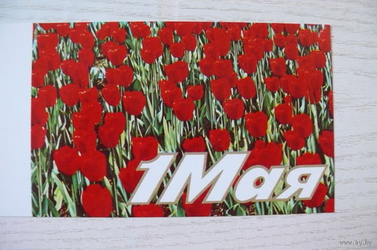 Колпачников В., Костенко Г., 1 Мая; 1988, двойная, чистая.