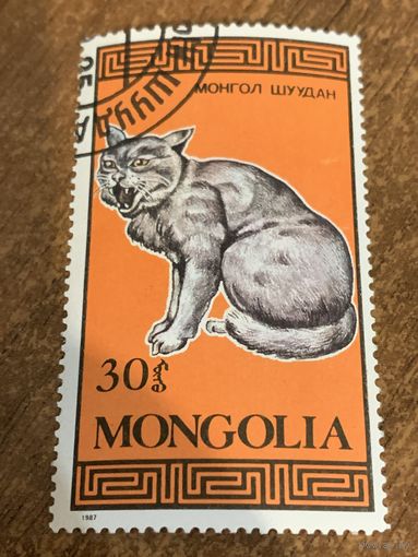 Монголия 1987. Породы домашних кошек. Марка из серии