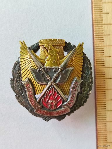 Нагрудный знак 8-й отдельный дисциплинарный батальон.