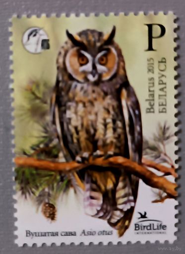 Ушастая сова.  Серия из 1 марки, 2015. Беларусь