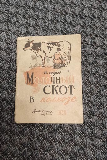 Молочный скот в колхозе. 1930 год.