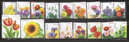 ФФ1 Латвия 2014-15 Цветы Стандарт