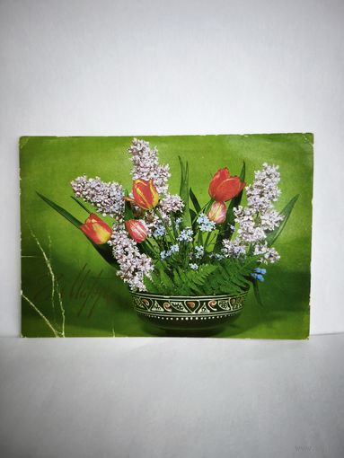 Открытка, 1981 г. Б/у. 8 марта. Фото Б. Круцко. 14