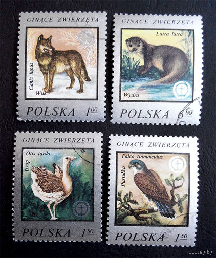Польша 1977 г. Исчезающие виды животных. Фауна, полная серия из 4 марок #0194-Ф1