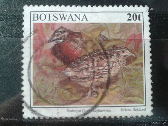Ботсвана,1997. Стандарт. Перепел