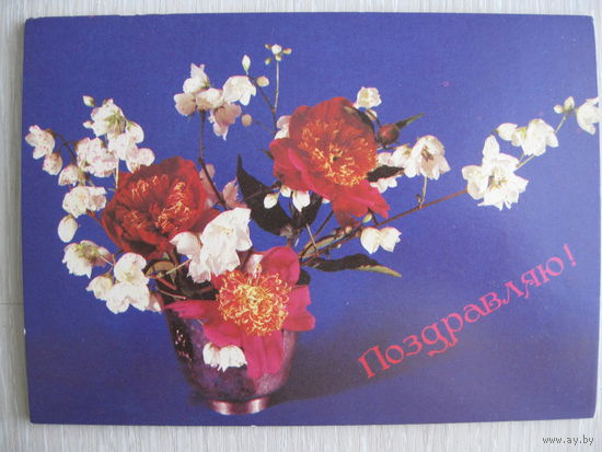 Почтовые  открытки."Поздравляю!".1990г. чистые. Цена за 1шт.