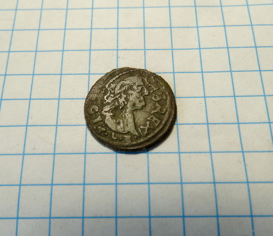 Боратинка 1665