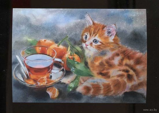 Открытка. Фауна. Животные. Коты. Котики. Рыжий котенок. Чаепитие. Мандарины. Худ. Л.Титова (чистая)