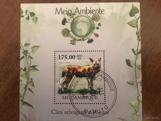 Мозамбик 2010. Гиены (блок)