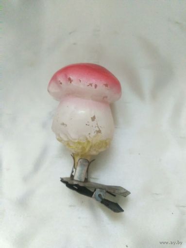 Гриб Боровик.Каталог.