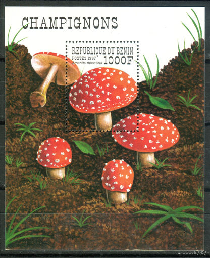 Бенин - 1997г. - Грибы - 1 блок - полная серия, MNH [Mi bl. 35]. #O-Bl-Z-2-14