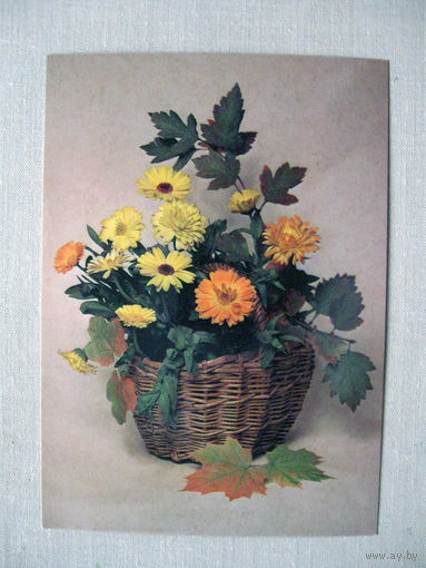 С028 Открытка Осенний букет Фото Агладзе 1986 Чистая