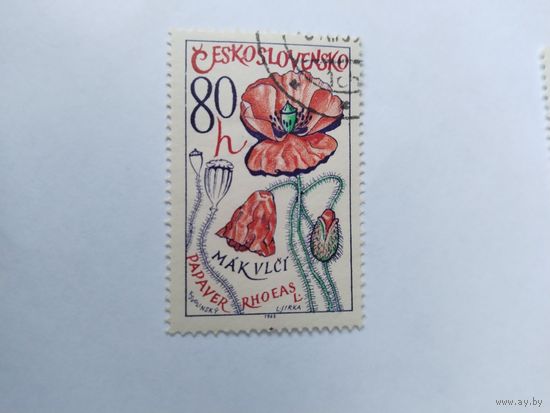 ЧССР  1965  мак