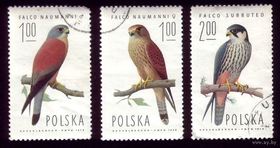 3 марки 1975 год Польша Птицы 2354-2355,2358