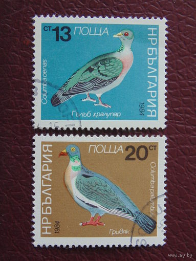 Болгария 1984 г. Голуби.