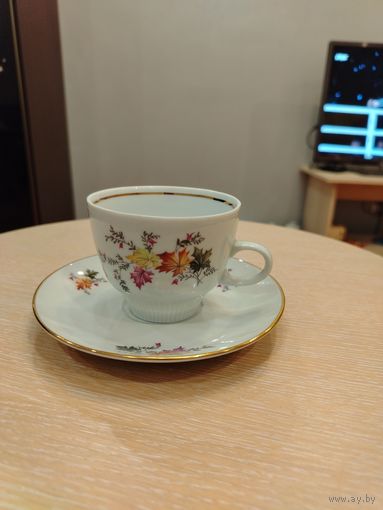 Чайная пара ГДР. Колдитз. 70-ее гг. Colditz/ (6)