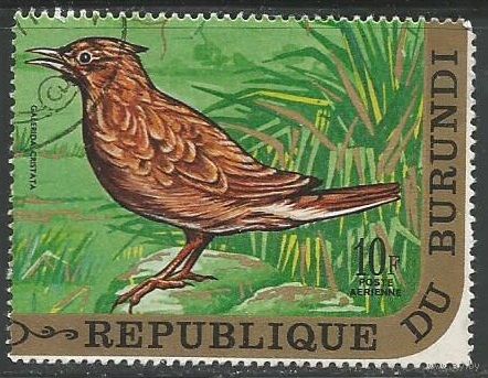 Бурунди. Птицы. Хохлатая поганка. 1970г. Mi#649.
