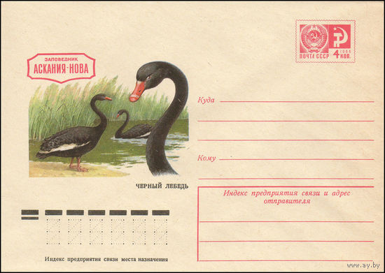 Художественный маркированный конверт СССР N 10568 (04.06.1975) Заповедник Аскания-Нова  Черный лебедь