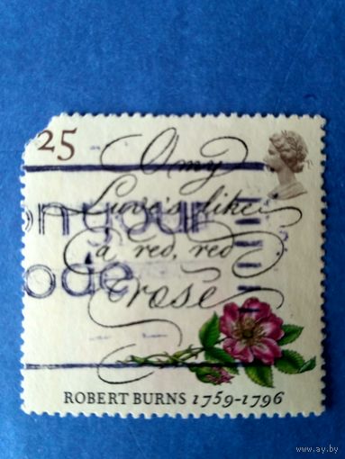 Марки Великобритания. 200 лет со дня смерти Роберта Бернса. Дикая роза. 1996 год