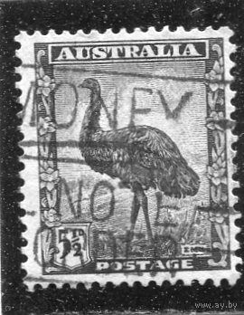 Австралия. Стандарт. Фауна. Страус