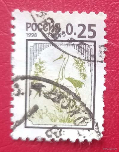 Россия, 1998 год, стандартный выпуск